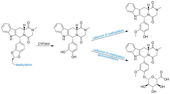 Tadalafil metabolism